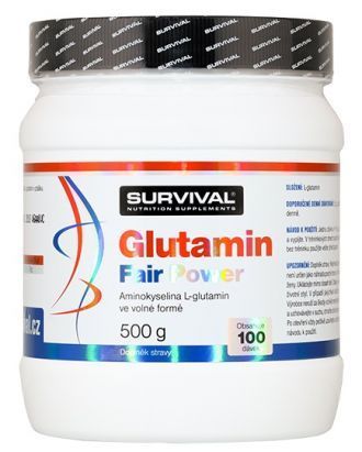 SURVIVAL - GLUTAMIN FAIR POWER - 500 G